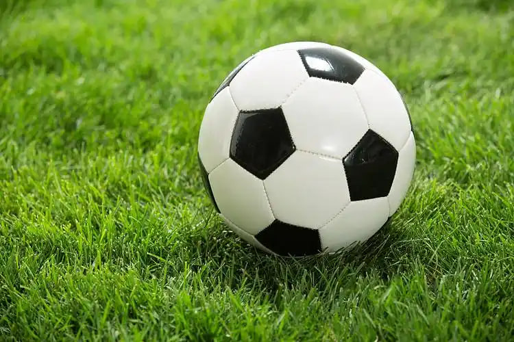 今日足球赛时间表2021移动端应用界面展示